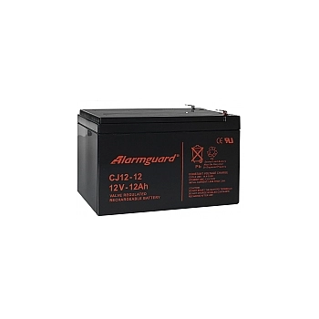 Akumulator 12Ah/12V CJ12-12 T2